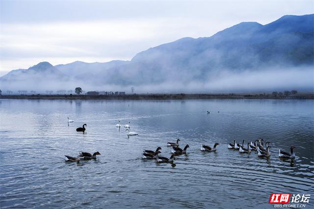 华中屋脊，秋色无边！这里是神农架