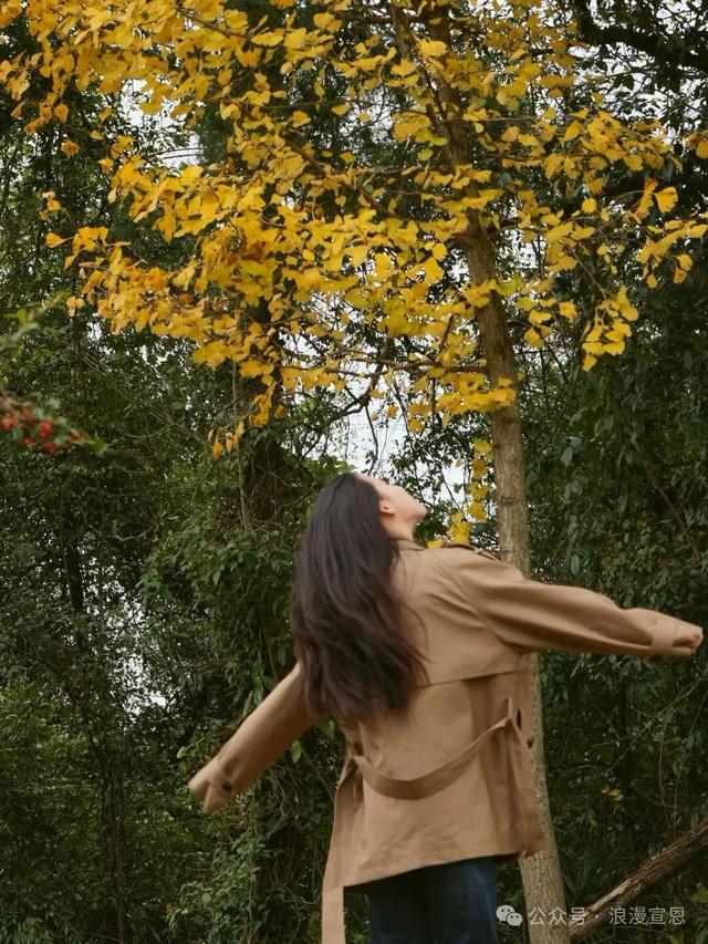 十年之约 | 全国民辅警及家属免费游宣恩矅天眼！