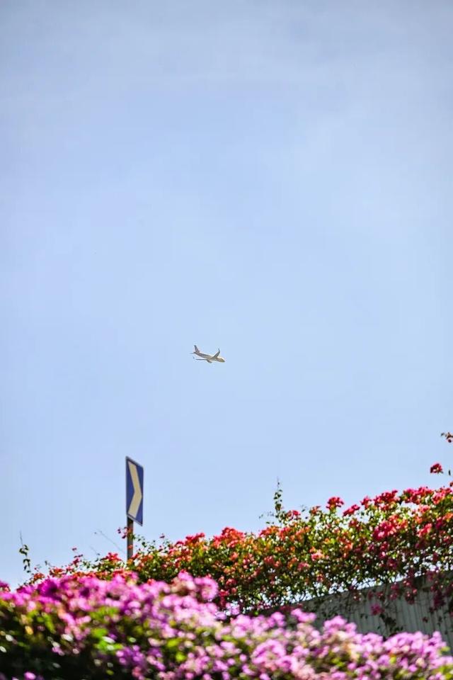 深圳知名景区紧急通知！