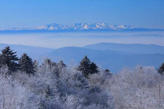 11月最应该去哪里旅行？