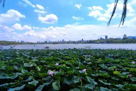 一片片白茫茫的云河不再遥远｜温故图片