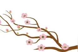 香河历史【气象灾害（雷暴）】图片