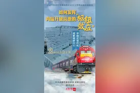 如何发挥内陆开放高地的“枢纽效应”，青白江这样做……图片