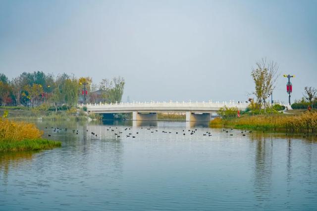 全部免费！西安4个冬日晒太阳好去处！