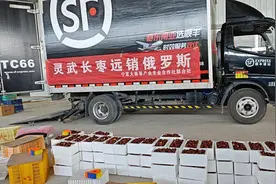 灵武长枣在俄罗斯颇受欢迎！被当地人称为“活维生素丸！”图片