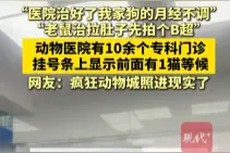 “治好了我家狗的月经不调！”一动物医院10多个专科，1年接诊量超10万图片