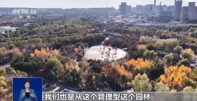 落叶如何变废为宝？各地巧妙“加工”留住秋日浪漫