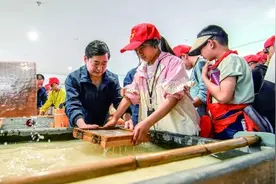 图片报道图片
