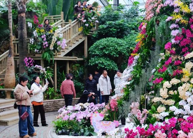 气温直冲20℃！第一波赏花的人已出发