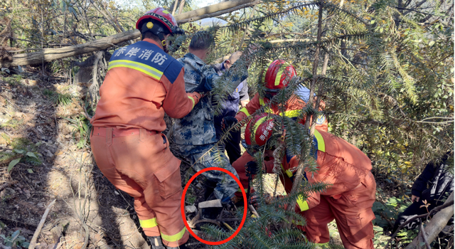 男子用双脚在西湖边“画爱心”，中途却破防惨叫？警惕“隐形陷阱”！
