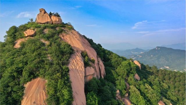 景区免门票！博物馆延时、无休开放！@河南人，福利来啦→