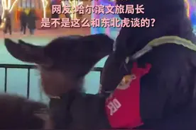 羊驼因频繁向周围游客吐口水被安全员“约谈”，网友:哈尔滨文旅局长是不是这么和东北虎谈的?图片