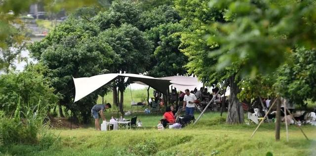 多位外籍网红博主“打卡”阳江