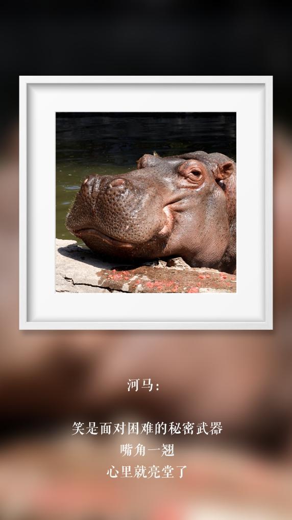 世界微笑日丨那些“天生爱笑”的萌物们