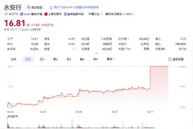 海量财经丨永安行复牌涨停：哈啰创始人15亿入主能否扭转三年亏损困局图片