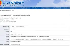 未依规设置安全警示标志，山东壳牌一加油站被罚图片