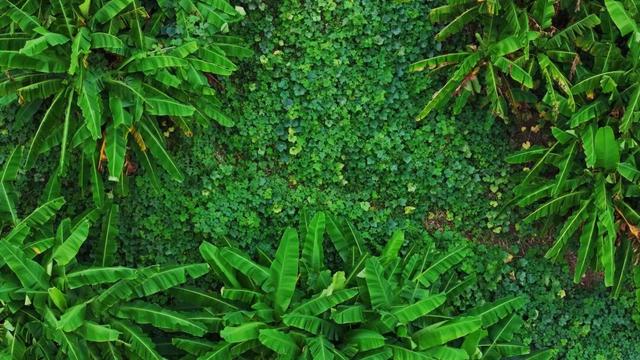 初冬，来大龙开发区遇见“限定暖阳”