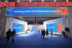 4月，就在合肥滨湖国际会展中心！图片