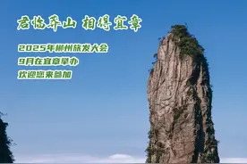 宜章莽山：一场跨越山海的奔赴图片