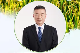 农技专家在线帮｜水稻遭遇涝害怎么办？（上）图片