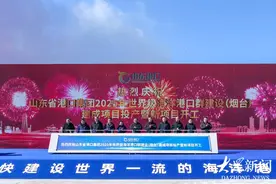 总投资480亿元！2025年山东港口计划在烟台三大领域新开工17个重点项目图片
