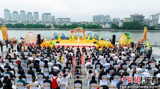 “柚”是一年好丰景 容县沙田柚文化旅游嘉年华举办