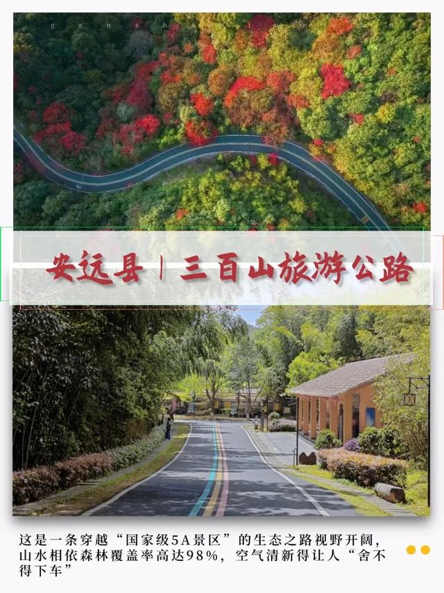 江西秋日自驾天花板，这几条公路带你驶入最美秋色！