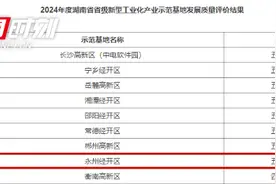 五星级！永州经开区获评“2024年度湖南省省级新型工业化产业示范基地”图片