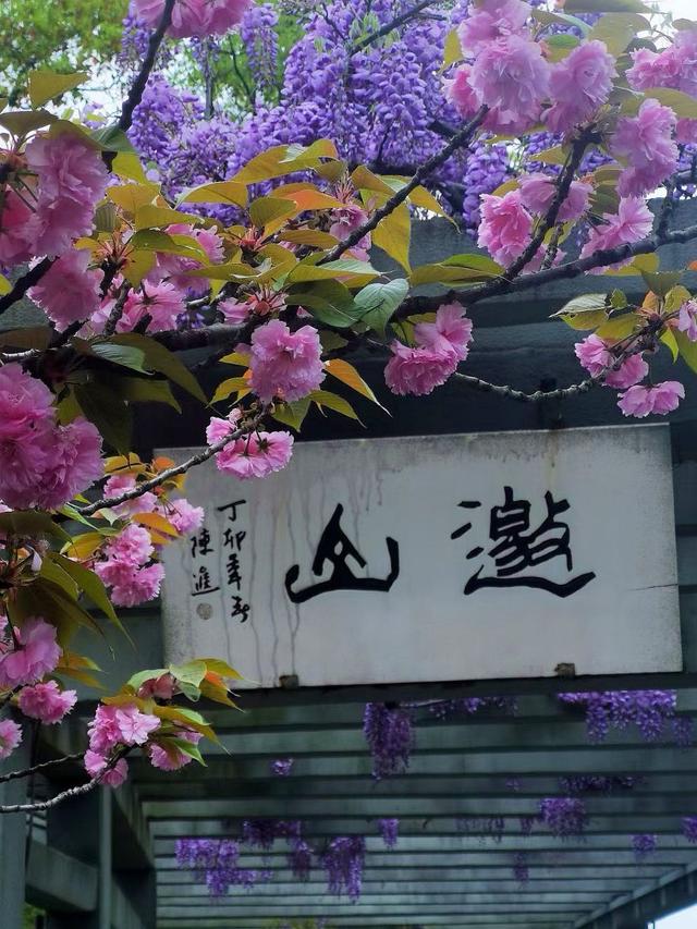 晚潮｜邀山揖湖：四季繁花与千年山水