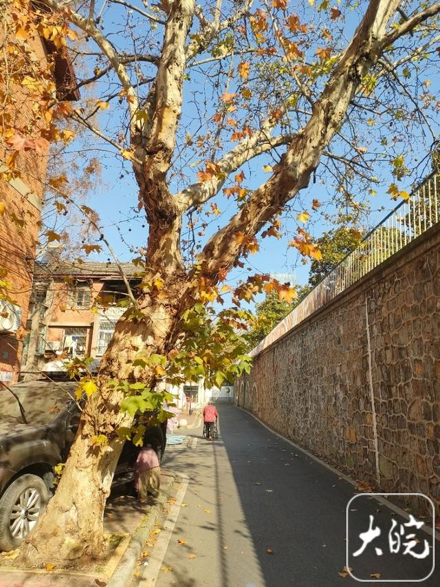 合肥蒙城路一过路涵洞引发关注 常有人来此拍照打卡