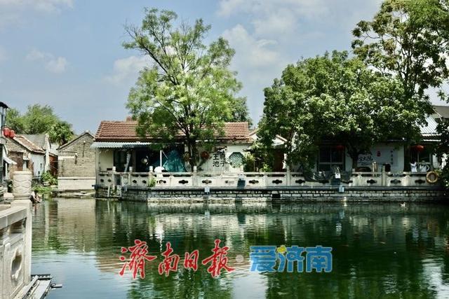 一年四季 泉在济南｜天光云影入泉来 王府池子展神韵