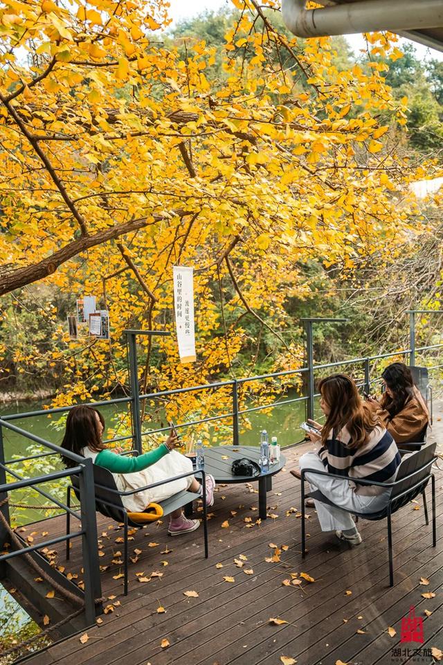 出片率100%！湖北的秋天太卷了