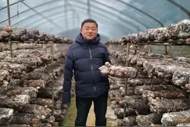 创业典型 | 独臂青年陈力：一手托起梦想天图片