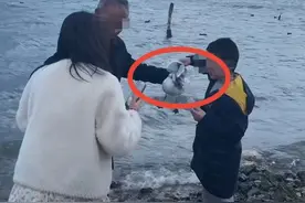 老人在大理强行抓海鸥与小孩合影，林业部门：已介入，情节严重会处罚图片