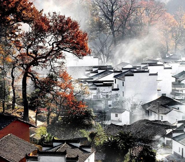 上饶绝美“枫景”加载完毕，前往石城锁定你的赏枫C位！