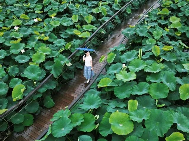 眉山⇋成都便民快巴，明起发车！快来解锁眉山宝藏打卡地→