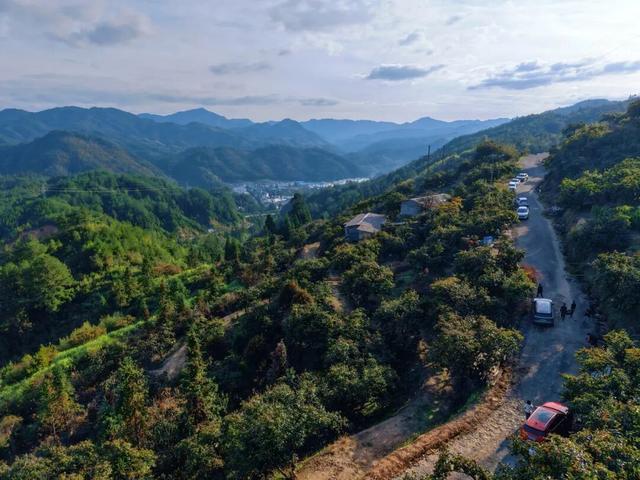 这里的柿子可以摘！代溪镇，距四坪仅12公里，2天1夜烹茶酌酒，玩转非遗！