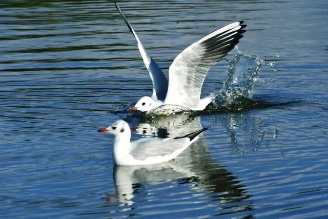 秋冬，来红河旅居吧！