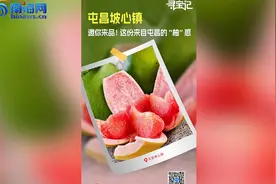 宝藏小镇·寻宝记丨邀你来品！这份来自屯昌的“柚”惑图片