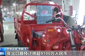 外贸出口再现“爆款”！电动三轮车、特色农产品海外“出圈”图片