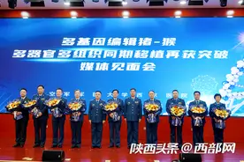 “大师兄”“二师弟”再合体 西京医院多基因编辑猪-猴多器官多组织移植获新突破图片