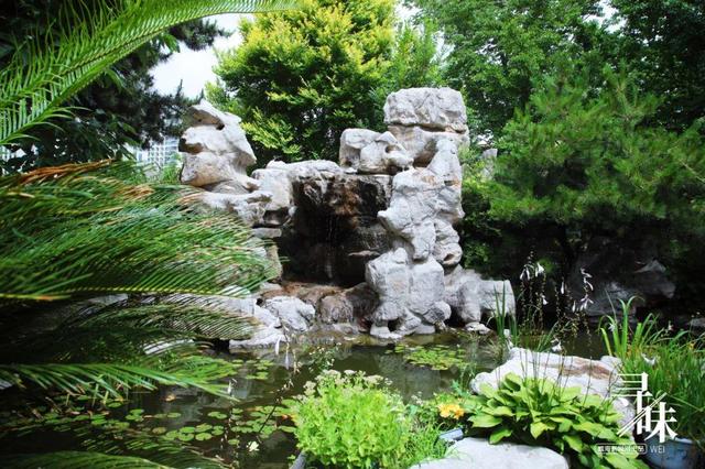 威海有花胶没 2026年烟台花胶厂家