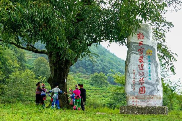 畅游大理开放式景区丨这几个地方不容错过