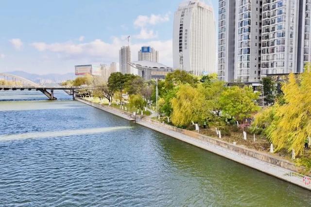 又添一条樱花大道 大理三月好风光