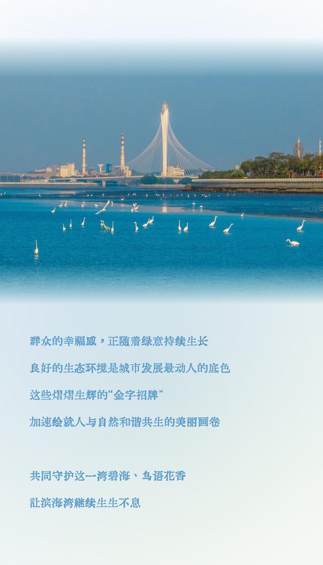长图｜全国生态日，一同感受滨海湾近在咫尺的生态脉动