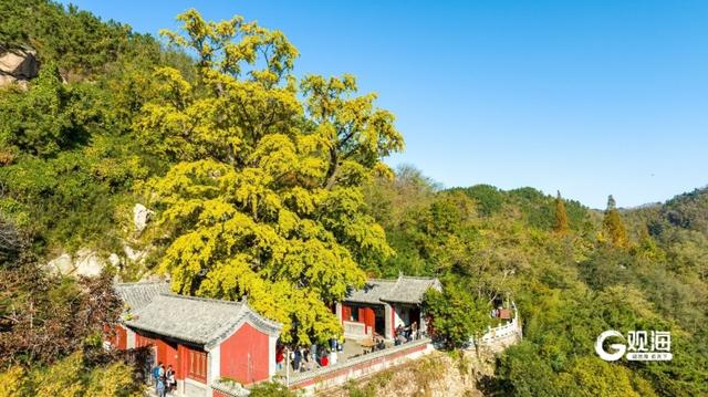 静美如画 竹子庵公园秋意盎然