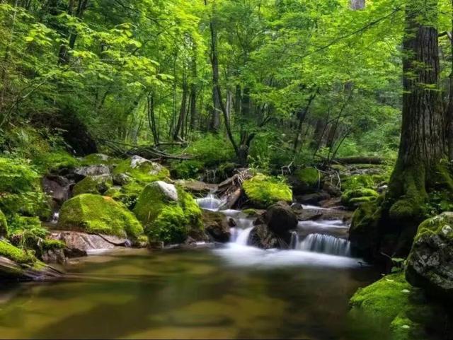 第四届网红打卡地｜山河画卷——珲春大荒沟生态景区