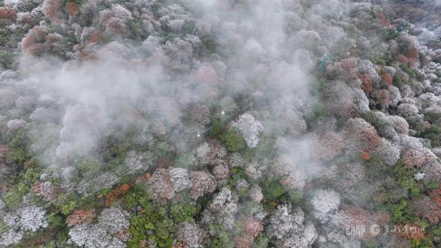 这个冬天，到贵州赴一场色彩之约