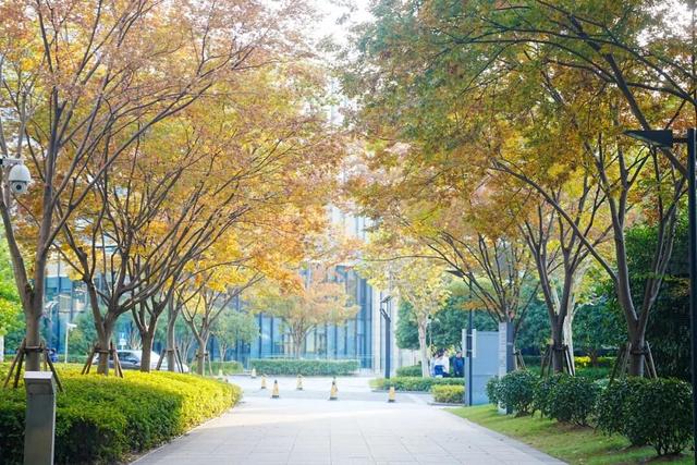 音乐公园、滨河步道……长宁这条有点小众的赏秋路线，别错过了！