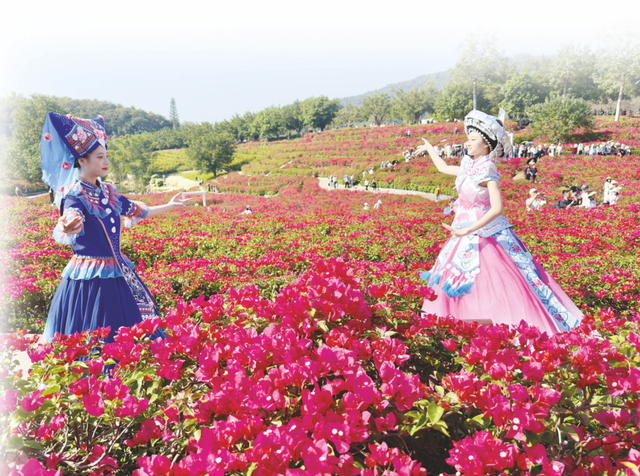 藏不住了，广西这座城市的冬天“开挂”了！